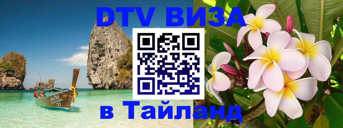 Оформление DTV визы под ключ: стоимость и тарифы, только загранпаспорт - 